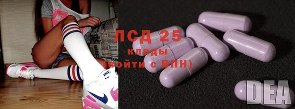 стаф Новодвинск