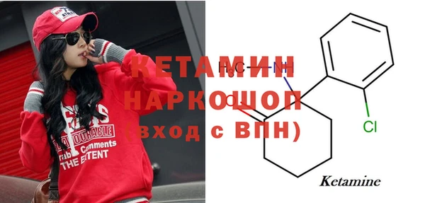 гидра Новозыбков
