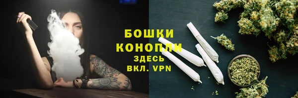 сатива Нязепетровск