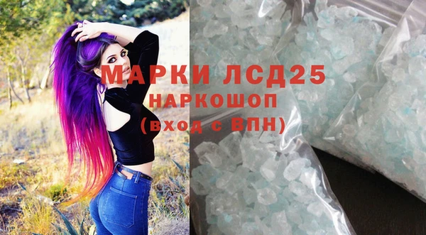 гидра Новозыбков