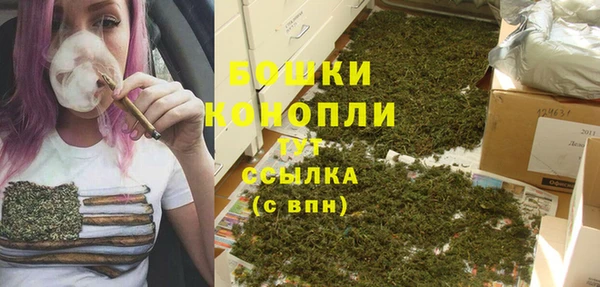 гидра Новозыбков