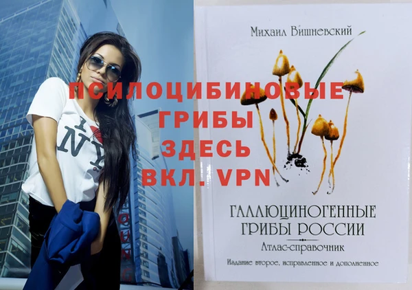 стаф Новодвинск
