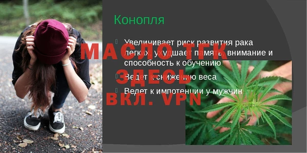 гидра Новозыбков