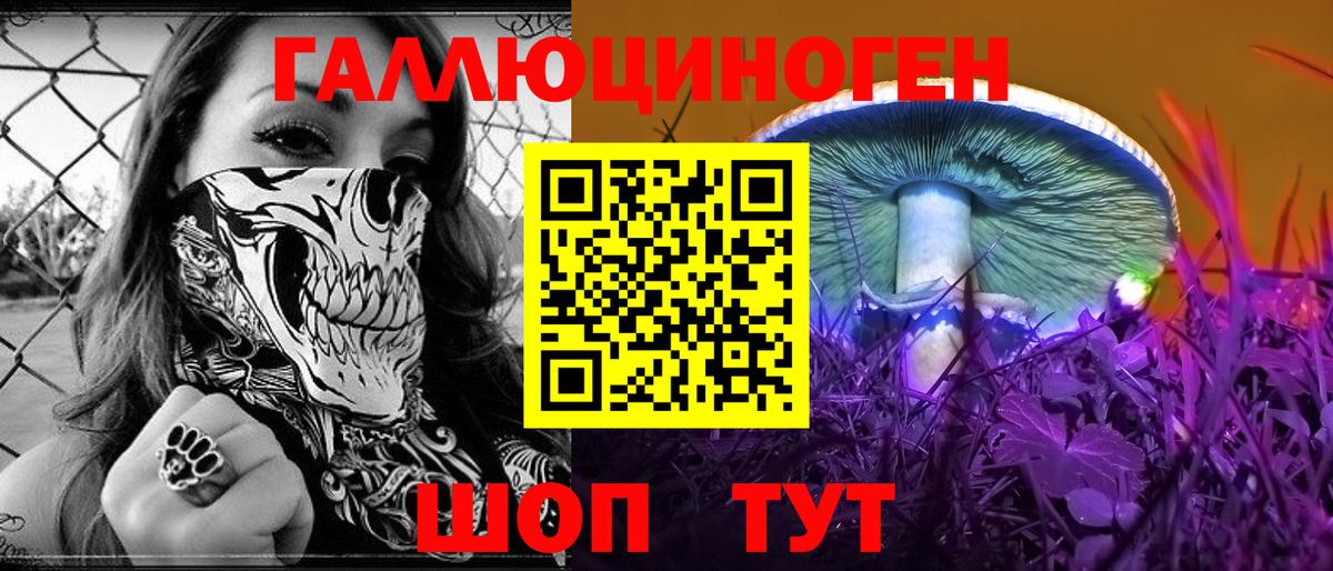 Псилоцибиновые грибы GOLDEN TEACHER Кулебаки