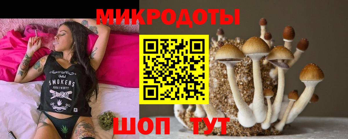 Псилоцибиновые грибы Psilocybe  Галлюциногенные грибы Cubensis  Кулебаки  Вход с VPN 